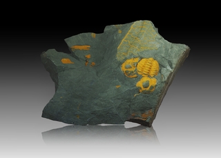 Tschechien/Středočeský kraj (Mittelböhmen)/Rakovník, Okres (Rakonitz)/Skrei (Skryje)