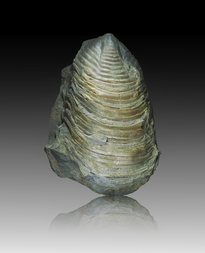 Deutschland/Rheinland-Pfalz/Eifelkreis Bitburg-Prüm/Dasburg