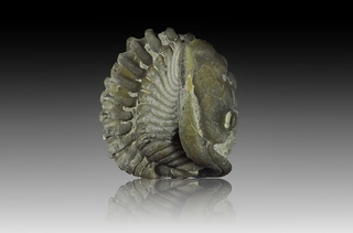 USA/Oklahoma/Pontotoc County/Cedar Hill