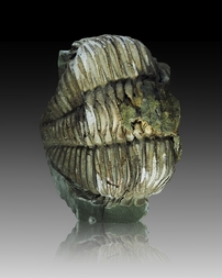 USA/Pennsylvania/Snyder County/Perry Township