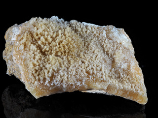 Deutschland/Niedersachsen/Hildesheim, Landkreis/Alfeld/Brunkensen