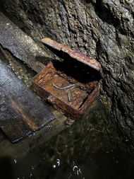 Deutschland/Sachsen/Erzgebirgskreis/Marienberg, Revier/Wolkenstein/Gehringswalde/Herbstgrund (Himmelreich)/Felberstollen