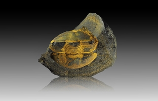 Tschechien/Plzeňský kraj (Pilsen)/Rokycany, Okres (Rokitzan)/Rokitzan (Rokycany)/Osek