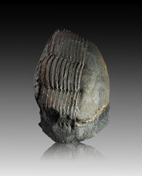 Tschechien/Plzeňský kraj (Pilsen)/Rokycany, Okres (Rokitzan)/Rokitzan (Rokycany)/Osek