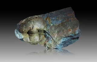 Spanien/Kastilien-La Mancha (Castilla-La Mancha)/Ciudad Real, Provinz/Calzada de Calatrava