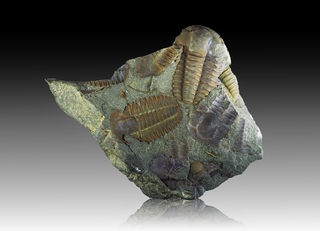 Tschechien/Středočeský kraj (Mittelböhmen)/Příbram, Okres (Pribram Bezirk)/Příbram, Město (Pribram Stadt)/Ginetz (Jince)