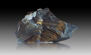 Tschechien/Středočeský kraj (Mittelböhmen)/Příbram, Okres (Pribram Bezirk)/Příbram, Město (Pribram Stadt)/Ginetz (Jince)