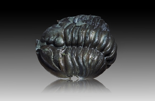 USA/Ohio/Brown County/Mount Orab