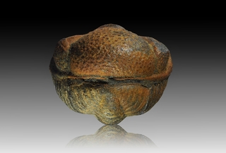 Tschechien/Středočeský kraj (Mittelböhmen)/Praha-západ, Okres (Prag-West Bezirk)/Choteč