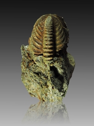 Deutschland/Nordrhein-Westfalen/Arnsberg, Bezirk/Hochsauerlandkreis/Meschede, Stadtgemeinde/Grevenstein