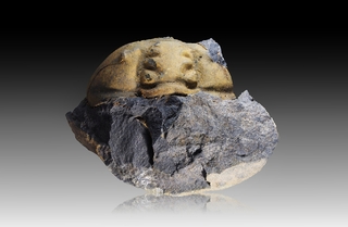 Tschechien/Praha (Prag)/Divoká Šárka