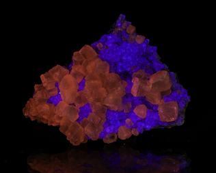 Spanien/Katalonien (Cataluña)/Barcelona, Provinz/Baix Llobregat, Comarca/El Papiol, Municipio/Cantera Berta (Mina Berta)
