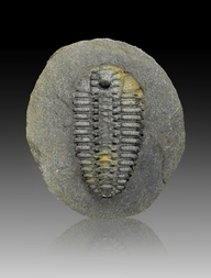 Tschechien/Plzeňský kraj (Pilsen)/Rokycany, Okres (Rokitzan)/Rokitzan (Rokycany)/Osek