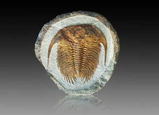 Marokko/Drâa-Tafilalet, Region/Errachidia (Er-Rachidia), Provinz/Goulmima, Cercle/Tinejdad/Jbel Ougnate/Jbel Wawrmast