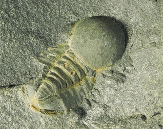 Tschechien/Praha (Prag)/Divoká Šárka