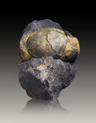 Tschechien/Středočeský kraj (Mittelböhmen)/Beroun, Okres (Beraun)/Chyňava, Gemeinde/Malé Přílepy, Ortsteil