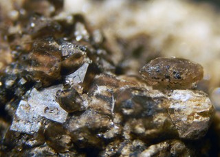 Deutschland/Nordrhein-Westfalen/Köln, Bezirk/Euskirchen, Kreis/Mechernich, Stadt/Kalenberg, Stadtteil/Tagebau Kalenberg (Kallmuther Berg)