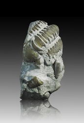 Schweden/Gotland, Provinz/Hemse