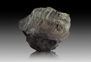 Schweden/Västra Götaland, Provinz/Billingen und Kinnekulle