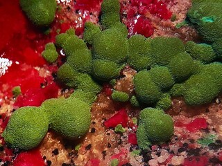 Demokratische Republik Kongo/Katanga (Shaba), Provinz/Lualaba, Distrikt/Kolwezi, Revier/Tenke-Fungurume Gebiet/Kansalawile