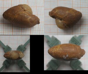 Frankreich/Nouvelle-Aquitaine, Région/Vienne, Département/Saint Laon