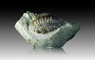 USA/Oklahoma/Coal County/Clarita/Black Cat Mountain