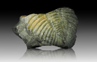 Tschechien/Středočeský kraj (Mittelböhmen)/Beroun, Okres (Beraun)