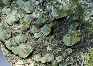 Deutschland/Rheinland-Pfalz/Kaiserslautern, Landkreis/Niederkirchen/Ölsberg