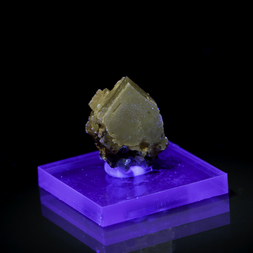 Frankreich/Occitanie (Okzitanien), Région/Lozère, Département/Mende, Arrondissement/St.-Léger-de-Peyre/Ste Lucie