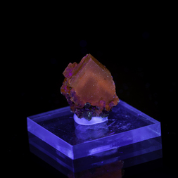 Frankreich/Occitanie (Okzitanien), Région/Lozère, Département/Mende, Arrondissement/St.-Léger-de-Peyre/Ste Lucie