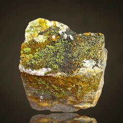 Deutschland/Rheinland-Pfalz/Bernkastel-Wittlich, Landkreis/Bernkastel-Kues, Verbandsgemeinde/Longkamp, Gemeinde