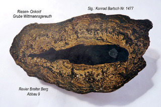 Deutschland/Thüringen/Saalfeld-Rudolstadt, Landkreis/Saalfelder Höhe/Wittmannsgereuth