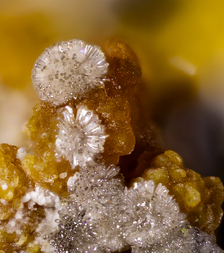 Frankreich/Auvergne-Rhône-Alpes, Région/Allier, Département/Montluçon, Arrondissement/Echassières/Les Montmins (Sainte Barbe filon)