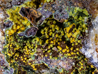 Frankreich/Auvergne-Rhône-Alpes, Région/Allier, Département/Montluçon, Arrondissement/Echassières/Les Montmins (Sainte Barbe filon)