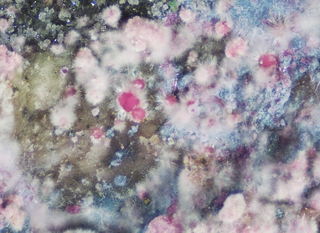 Deutschland/Rheinland-Pfalz/Donnersbergkreis/Winnweiler, Verbandsgemeinde/Imsbach, Ortsgemeinde/Weiße Grube