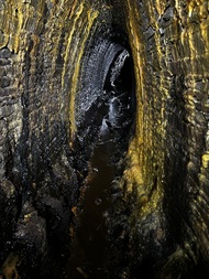 Deutschland/Sachsen/Erzgebirgskreis/Marienberg, Revier/Marienberg/Catharina Rösche