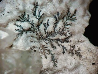 Deutschland/Bayern/Oberfranken, Bezirk/Wunsiedel im Fichtelgebirge, Landkreis/Wunsiedel, Stadtgemeinde/Göpfersgrün, Ortsteil/Johanneszeche