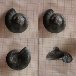 Deutschland/Baden-Württemberg/Freiburg, Bezirk/Tuttlingen, Landkreis/Geisingen