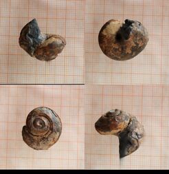 Bolivien/La Paz, Departamento/Patacamaya