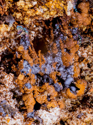 Deutschland/Bayern/Oberpfalz, Bezirk/Neustadt an der Waldnaab, Landkreis/Waidhaus, Gemeinde/Hagendorf, Ortsteil/Hagendorf-Süd (Grube Cornelia)