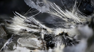 Deutschland/Rheinland-Pfalz/Mayen-Koblenz-Kreis/Mendig, Verbandsgemeinde/In den Dellen (Grube Zieglowski)