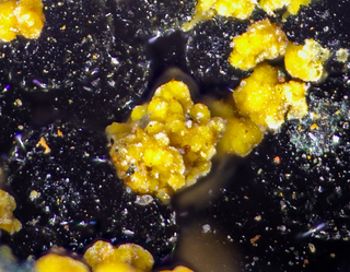 Deutschland/Bayern/Oberpfalz, Bezirk/Neustadt an der Waldnaab, Landkreis/Waidhaus, Gemeinde/Hagendorf, Ortsteil/Hagendorf-Süd (Grube Cornelia)