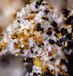 Deutschland/Bayern/Oberpfalz, Bezirk/Neustadt an der Waldnaab, Landkreis/Waidhaus, Gemeinde/Hagendorf, Ortsteil/Hagendorf-Süd (Grube Cornelia)