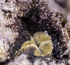 Deutschland/Bayern/Oberpfalz, Bezirk/Neustadt an der Waldnaab, Landkreis/Waidhaus, Gemeinde/Hagendorf, Ortsteil/Hagendorf-Süd (Grube Cornelia)