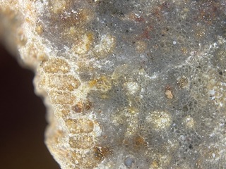 Deutschland/Sachsen/Chemnitz, Kreisfreie Stadt/Hilbersdorf, Stadtteil