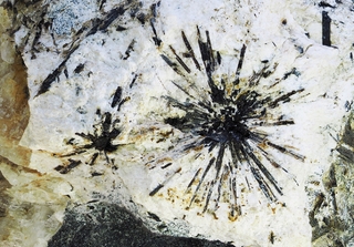 Russland/Nordwestrussland, Föderationskreis/Murmansk, Oblast/Kola-Halbinsel/Lovozero, Rajon/Karnasurt, Berg