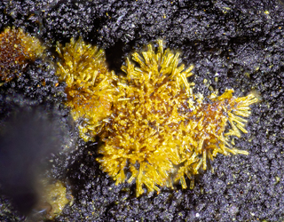 Deutschland/Bayern/Oberpfalz, Bezirk/Neustadt an der Waldnaab, Landkreis/Waidhaus, Gemeinde/Hagendorf, Ortsteil/Hagendorf-Süd (Grube Cornelia)