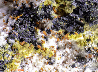 Deutschland/Bayern/Oberpfalz, Bezirk/Neustadt an der Waldnaab, Landkreis/Waidhaus, Gemeinde/Hagendorf, Ortsteil/Hagendorf-Süd (Grube Cornelia)