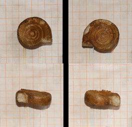 Frankreich/Normandie, Région/Calvados, Département/Caen, Arrondissement/Feuguerolles-Bully, Gemeinde/Steinbruch