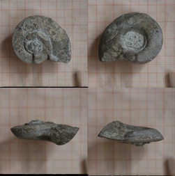 Deutschland/Schleswig-Holstein/Ostholstein, Landkreis/Kasseedorf, Gemeinde